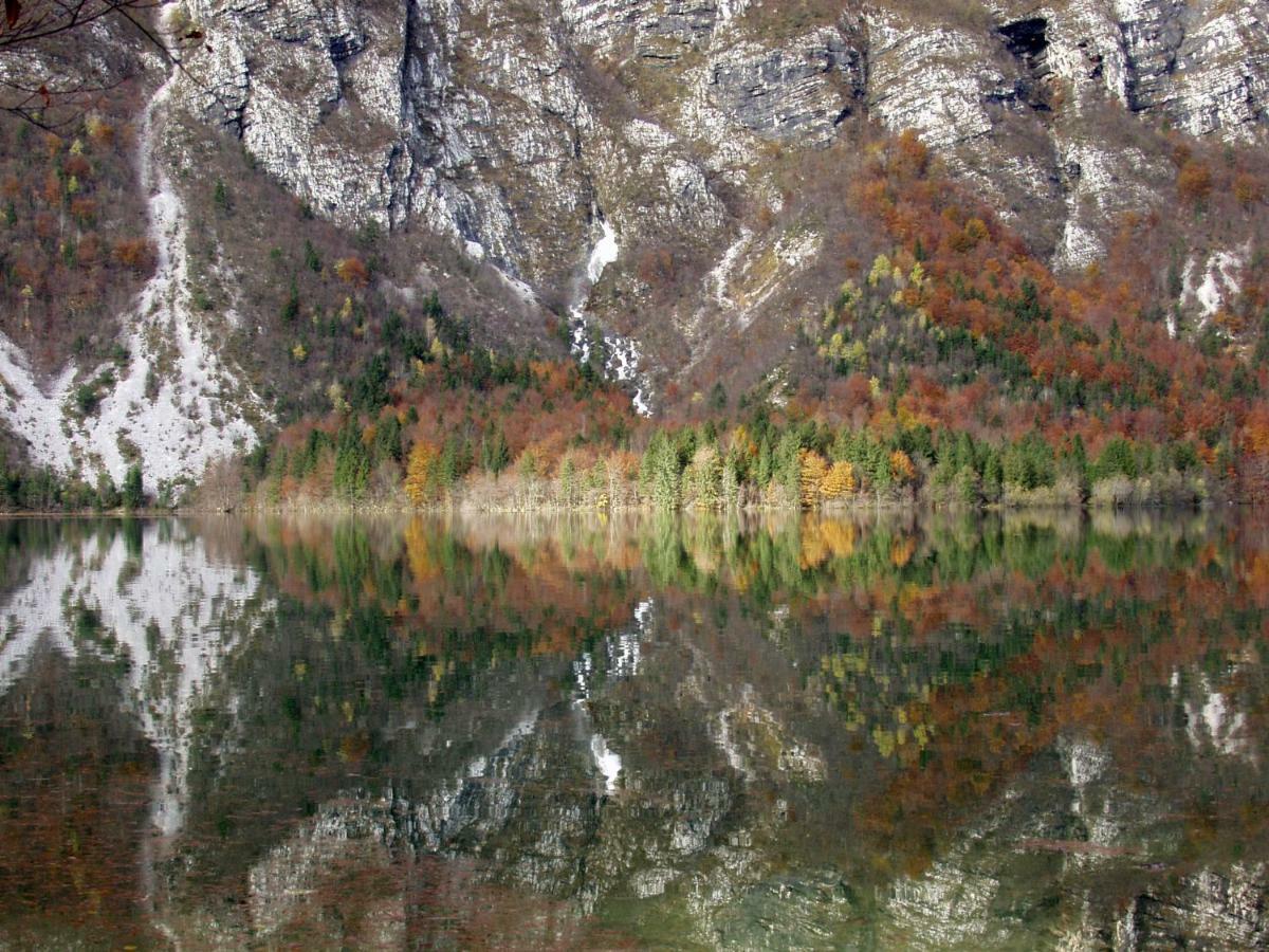 Apartment Ravnik Brod 13 Bohinj Eksteriør bilde